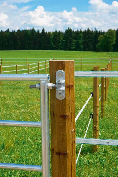 AKO Weidetor verstellbar, Höhe 110cm